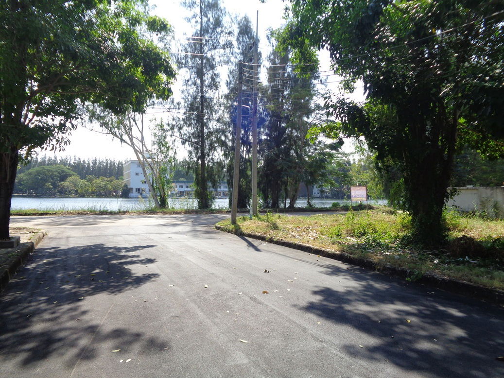 รูป 🚩 ขายที่ดินแปลงหัวมุม 129 ตารางวา ราคาถูกสุด❗ ทำเลดี ภายในโครงการหรูมีระดับ สามโคก ปทุมธานี - รูปที่ 24/24