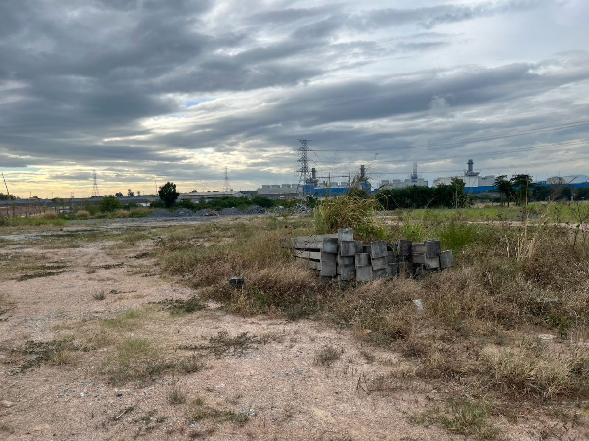 รูป ขายที่ดิน 12 ไร่ 12 ตารางวา ต.มาบยางพร อ.ปลวกแดง ผังเมืองสีม่วงจุดขาว หน้ากว้าง 85 ม. - รูปที่ 14/14