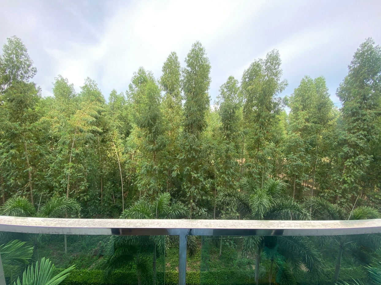 picture Dusit Grand Park 1 Jomtien - 15/15