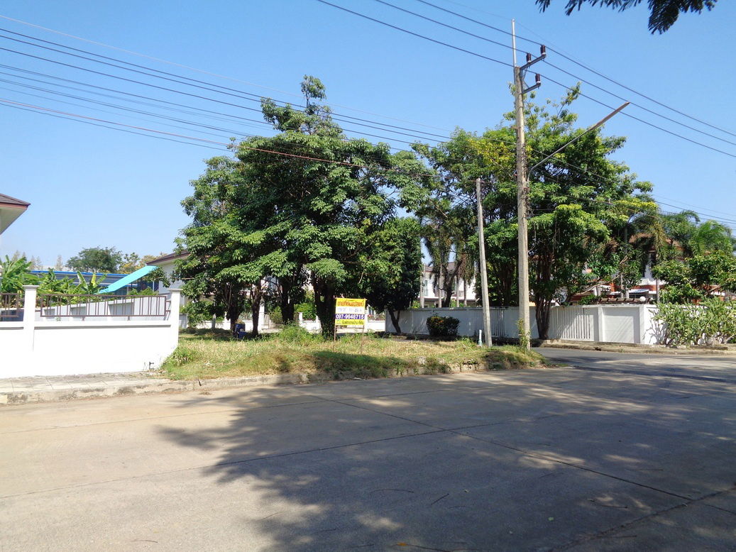 รูป 🚩 ขายที่ดินแปลงหัวมุม 129 ตารางวา ราคาถูกสุด❗ ทำเลดี ภายในโครงการหรูมีระดับ สามโคก ปทุมธานี - รูปที่ 9/24