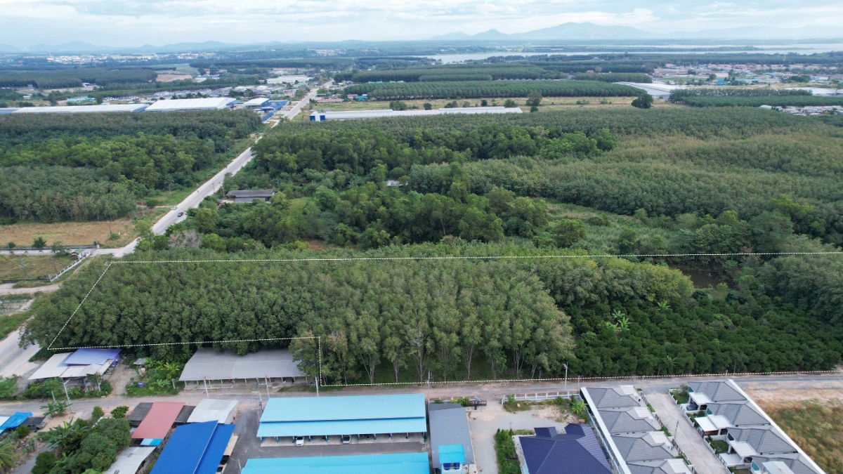 รูป ขายที่ดิน 15 ไร่ แม่น้ำคู้ ซอย 4 ต.แม่น้ำคู้ อ.ปลวกแดง ผังเมืองสีเหลืองอ่อน เจ้าของขายเอง - รูปที่ 10/23