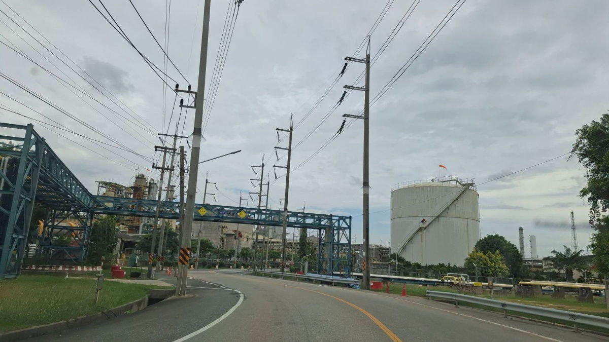 รูป ขายที่สีม่วง 4,5,6 ไร่ ต.บางนาง อ.พานทอง จ.ชลบุรี - รูปที่ 2/3