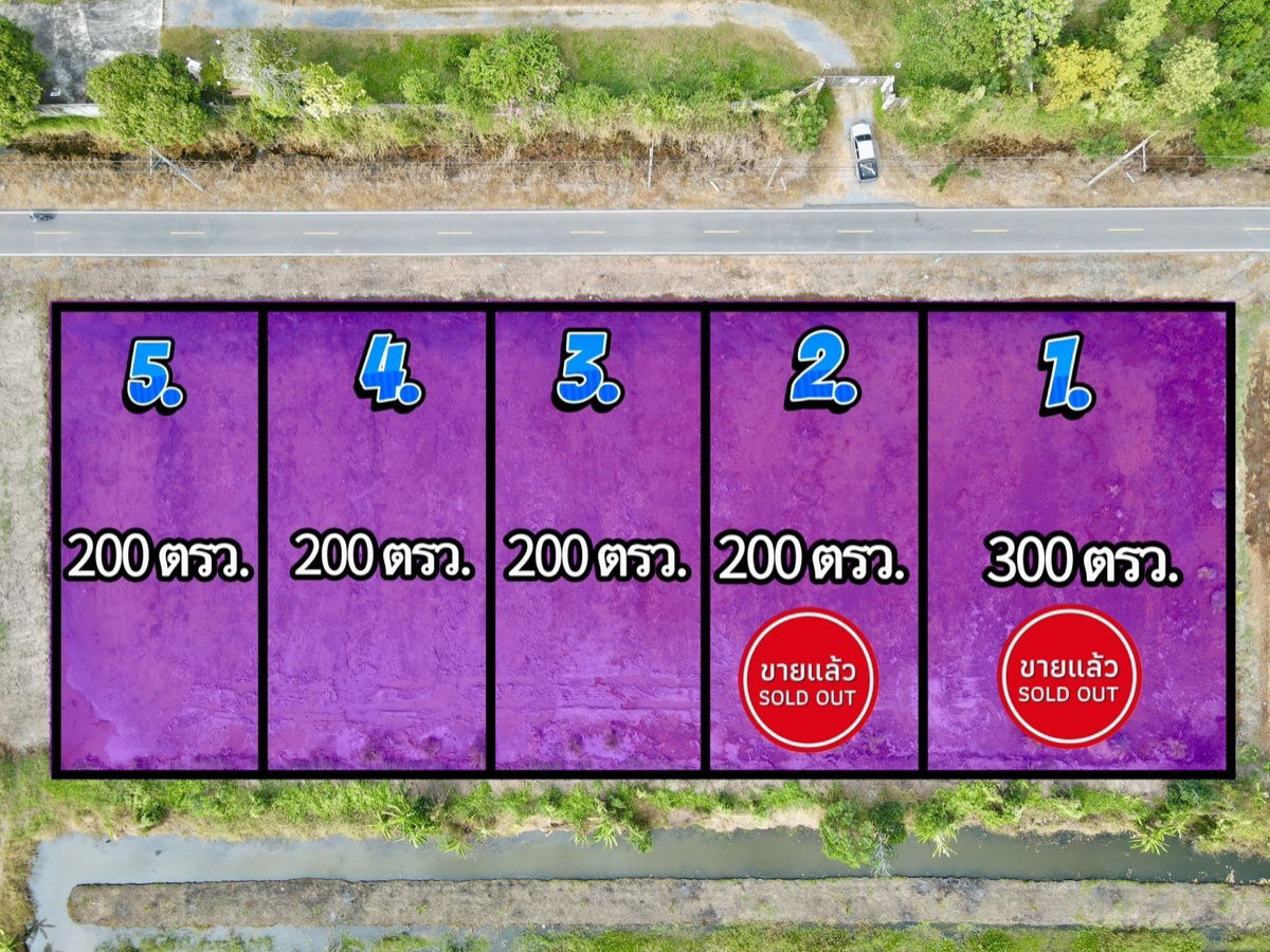 รูป ที่ดินคลอง 9 หนองเสือ ปทุมธานี 200 ตรว. ราคาถูก ทำเลอนาคต เหมาะปลูกบ้าน ทำโกดัง ฟรีค่าโอน - รูปที่ 5/10