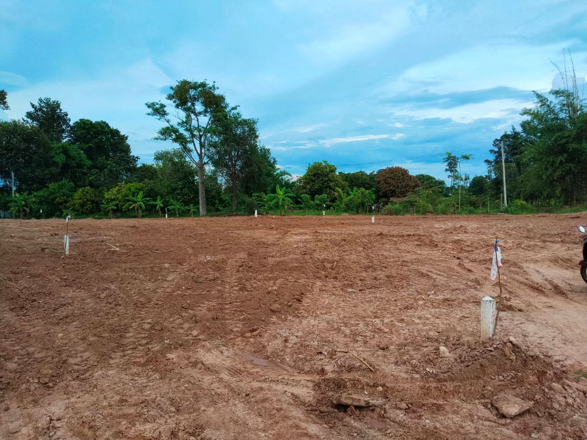 รูป ที่ดินแบ่งขาย ใกล้ตัวเมืองกาฬสินธุ์ - รูปที่ 11/13