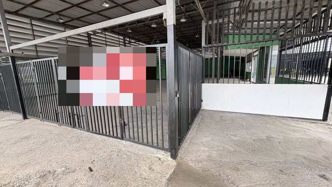 รูป ให้เช่าอาคาร เหมาะกับเก็บสินค้า หรือร้านค้า พื้นที่ใช้สอย 490 ตรม. ทำเลไทรม้า - รูปที่ 7/7