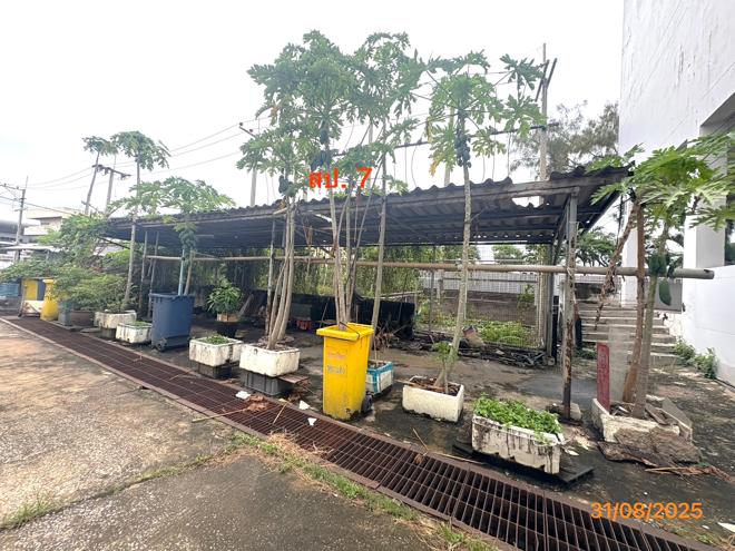 รูป อาคารโรงงาน สำหรับขาย - ปากคลองบางปลากด พระสมุทรเจดีย์ สมุทรปราการ - รูปที่ 19/50