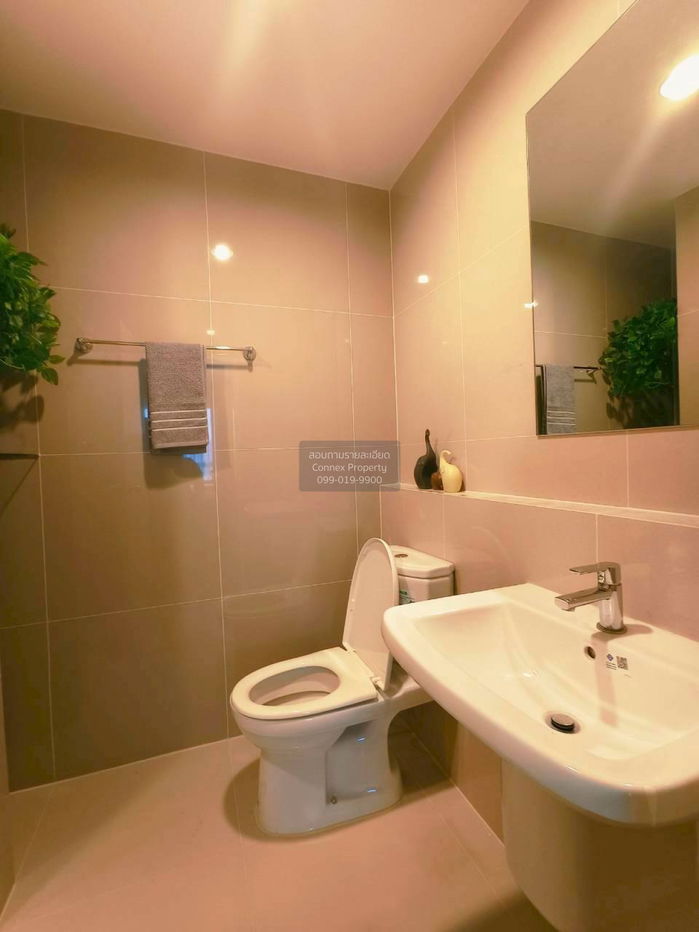 รูป เช่าคอนโด  นิช โมโน สุขุมวิท-ปู่เจ้า BTS-ปู่เจ้า เทพารักษ์ เมืองสมุทรปราการ สมุทรปราการ CX-139491 ✅ ทักไลน์ @connexproperty ตอบทันที ทีมงานมืออาชีพ ✅ - รูปที่ 6/7