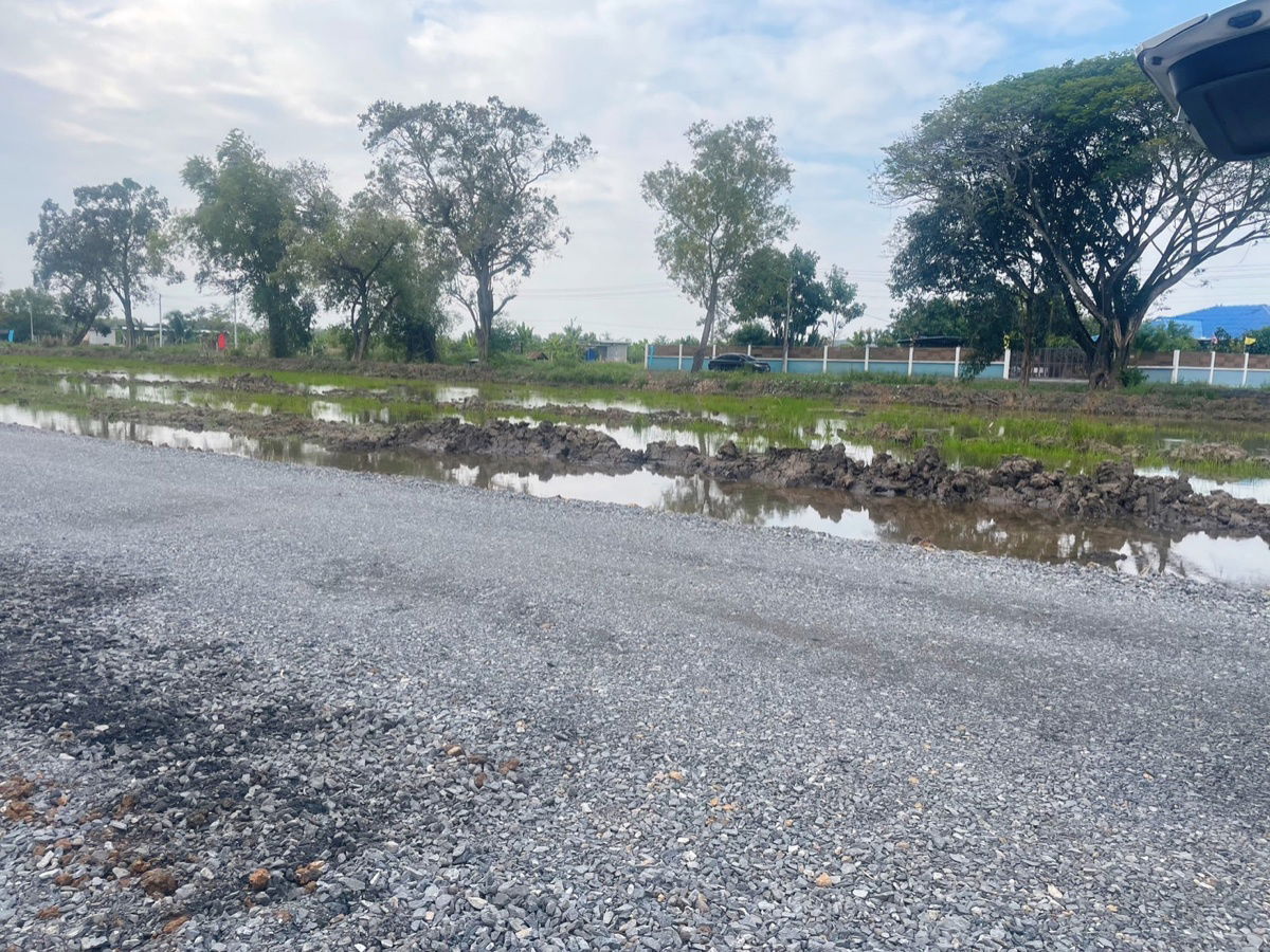 รูป ขายที่ดินติดคลอง คลอง 11 หนองเสือ ปทุมธานี – รูปแปลงสวย หน้าติดถนนสาธารณะ - รูปที่ 8/9