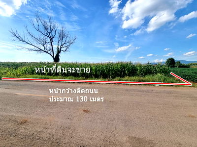 ที่ดิน วิทยาลัยมิชชั่น : ขายที่ดิน 20ไร่เศษ ต.ลาดแค ชนแดน ขายเหมายกแปลง1.9 ล้าน