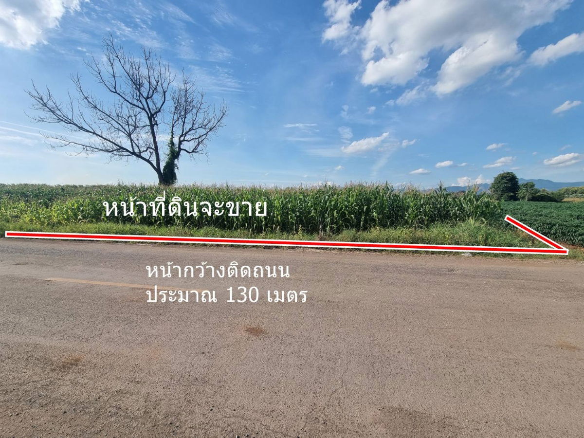 รูป ขายที่ดิน 20ไร่เศษ ต.ลาดแค ชนแดน ขายเหมายกแปลง1.9 ล้าน - รูปที่ 1/9