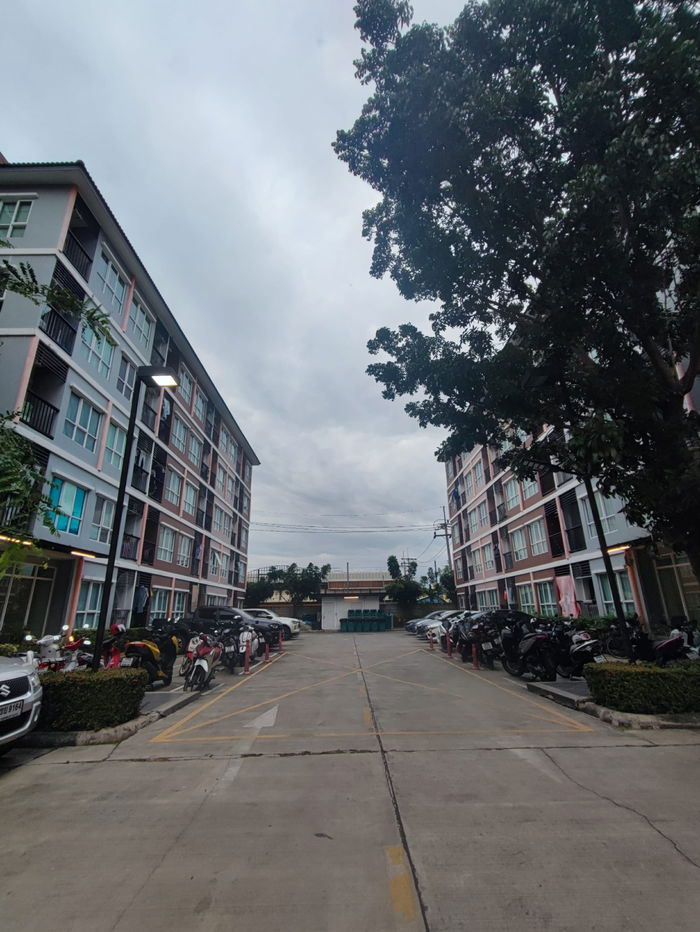 รูป 🎄ขายเพียง 870,000 คอนโด Miami Bangpu [ไมอามี่ บางปู] ใกล้เทศบาล 🛳️ห้องสภาพดีมากๆ สภาพใหม่กริ๊บ - รูปที่ 13/13