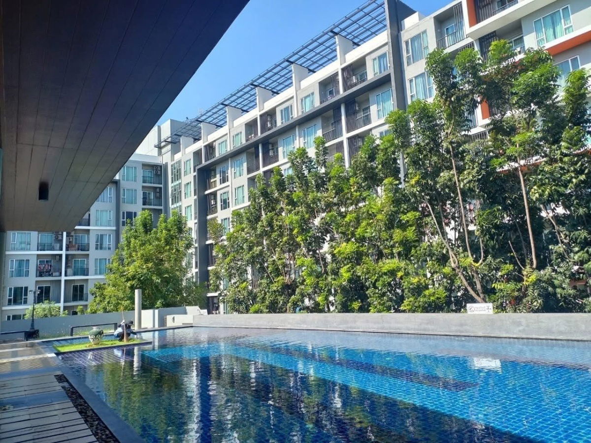 รูป ให้เช่า คอนโด เซอราโน่ คอนโดมิเนียม - รูปที่ 10/11