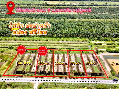 ที่ดิน หนองเสือ ปทุมธานี : ที่ดินคลอง 9 หนองเสือ ปทุมธานี 200 ตรว. ราคาถูก ทำเลอนาคต เหมาะปลูกบ้าน ทำโกดัง ฟรีค่าโอน