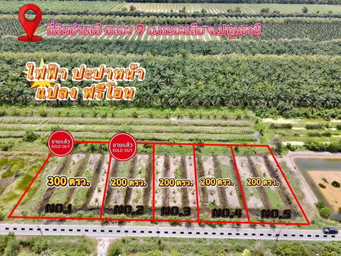 ที่ดินคลอง 9 หนองเสือ ปทุมธานี 200 ตรว. ราคาถูก ทำเลอนาคต เหมาะปลูกบ้าน ทำโกดัง ฟรีค่าโอน