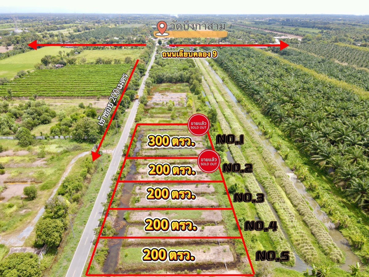 รูป ที่ดินคลอง 9 หนองเสือ ปทุมธานี 200 ตรว. ราคาถูก ทำเลอนาคต เหมาะปลูกบ้าน ทำโกดัง ฟรีค่าโอน - รูปที่ 2/10