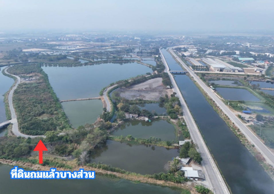 รูป ขายที่สีม่วง 46 ไร่ ใกล้ถนนเลียบมอเตอร์เวย์ สาย 7 ใกล้นิคมอมตะ ชลบุรี  ต.บางนาง อ.พานทอง จ.ชลบุรี - รูปที่ 3/3