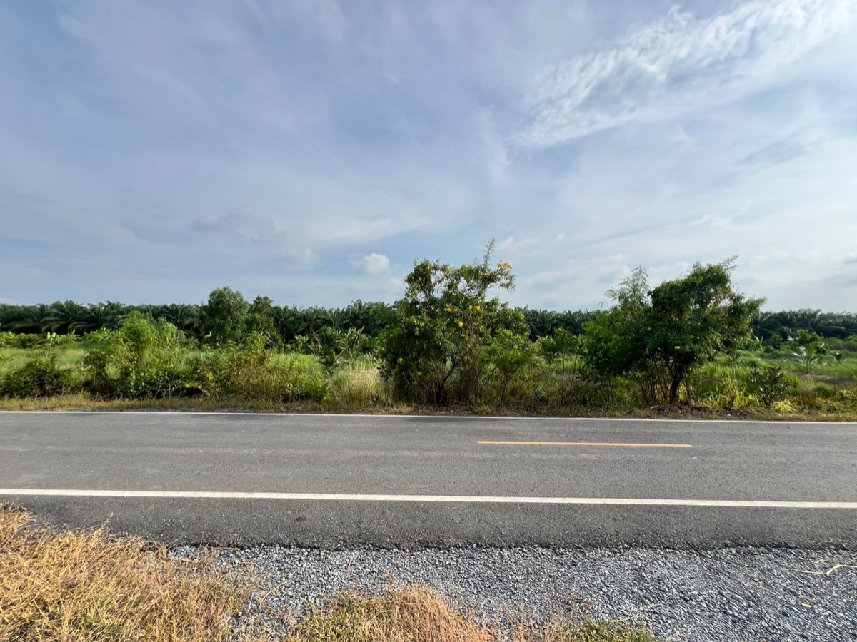 รูป ที่ดินคลอง 9 หนองเสือ ปทุมธานี 200 ตรว. ราคาถูก ทำเลอนาคต เหมาะปลูกบ้าน ทำโกดัง ฟรีค่าโอน - รูปที่ 7/10