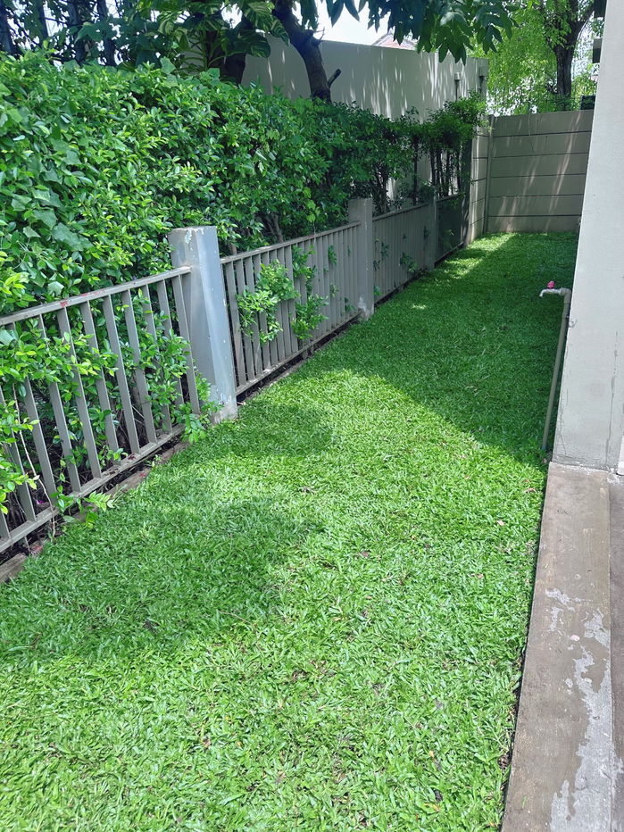 รูป บ้านต้นคลองรังสิตใกล้ฟิวเจอร์ ลุมพินี ทาวน์วิลล์ รังสิตคลอง2 - รูปที่ 4/32