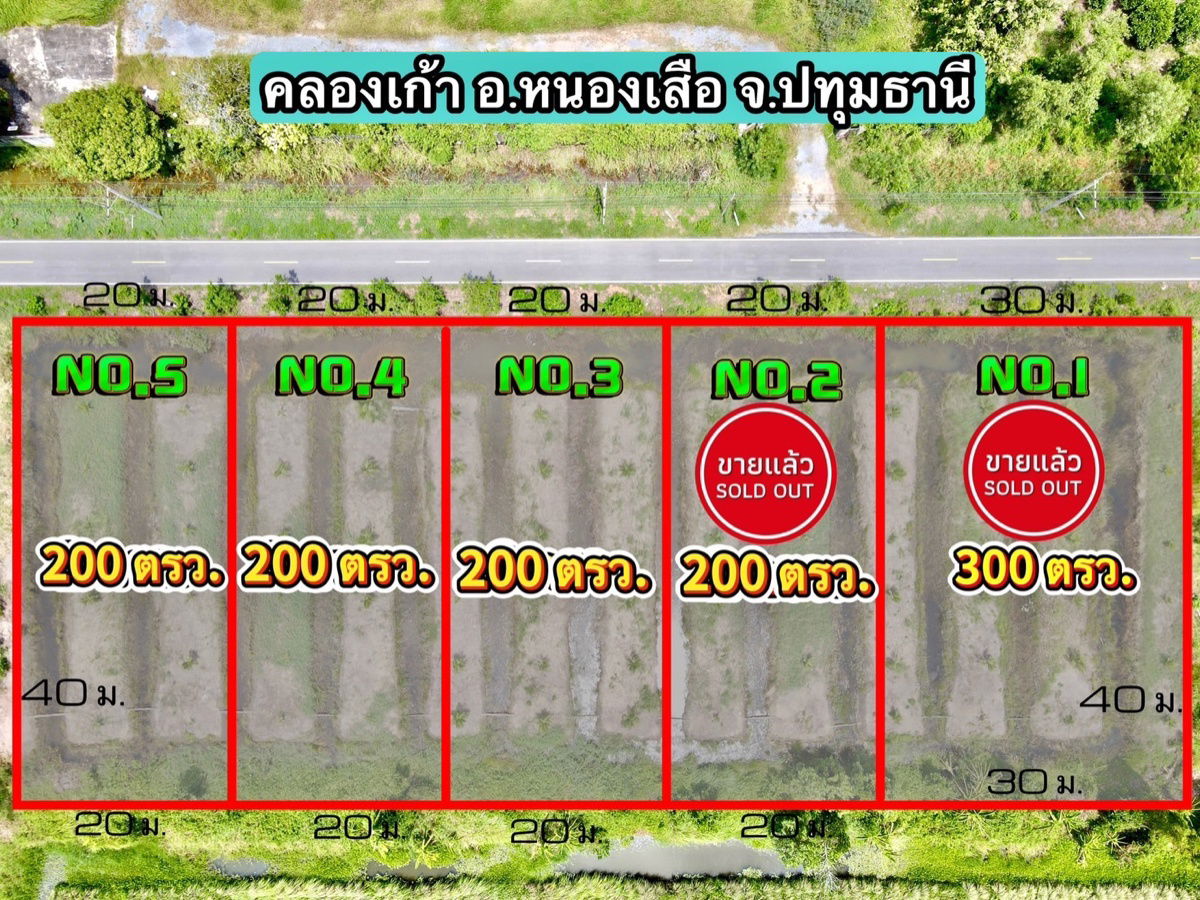 รูป ที่ดินคลอง 9 หนองเสือ ปทุมธานี 200 ตรว. ราคาถูก ทำเลอนาคต เหมาะปลูกบ้าน ทำโกดัง ฟรีค่าโอน - รูปที่ 4/10