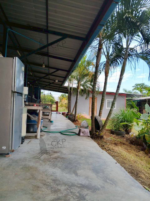 รูป ที่ดิน 300 ตร.วา พร้อมห้องพัก 6 ห้อง(ห้องน้ำในตัว มีเครื่องปรับอากาศ) ใกล้โรงพยาบาลบ้านบึงและโลตัสบ้านบึง ไม่ไกลตัวเมืองชลบุรี - รูปที่ 12/15