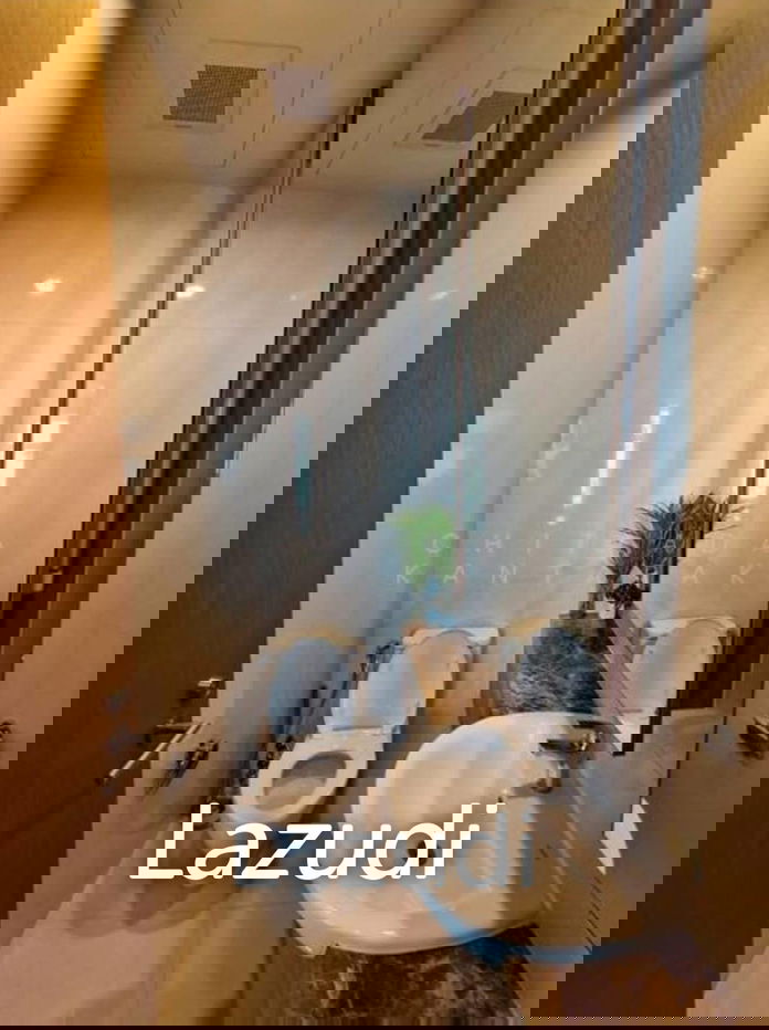 รูป 4 Bed Penthouses 228 SQM at The Parco - รูปที่ 21/22