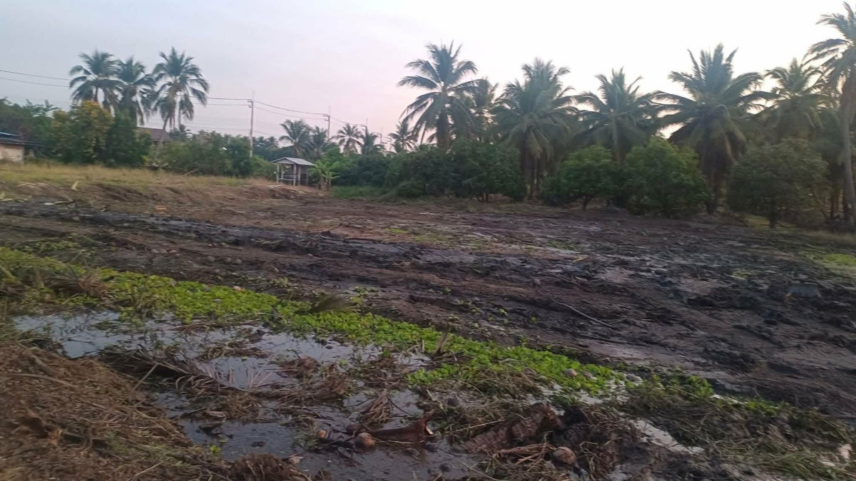 รูป ด่วน! ขายที่ดิน 1 ไร่ ใกล้ อบต. วัดวังน้ำขาว โฉนดพร้อมโอน เพียง 4.5 ล้านบาท - รูปที่ 4/5