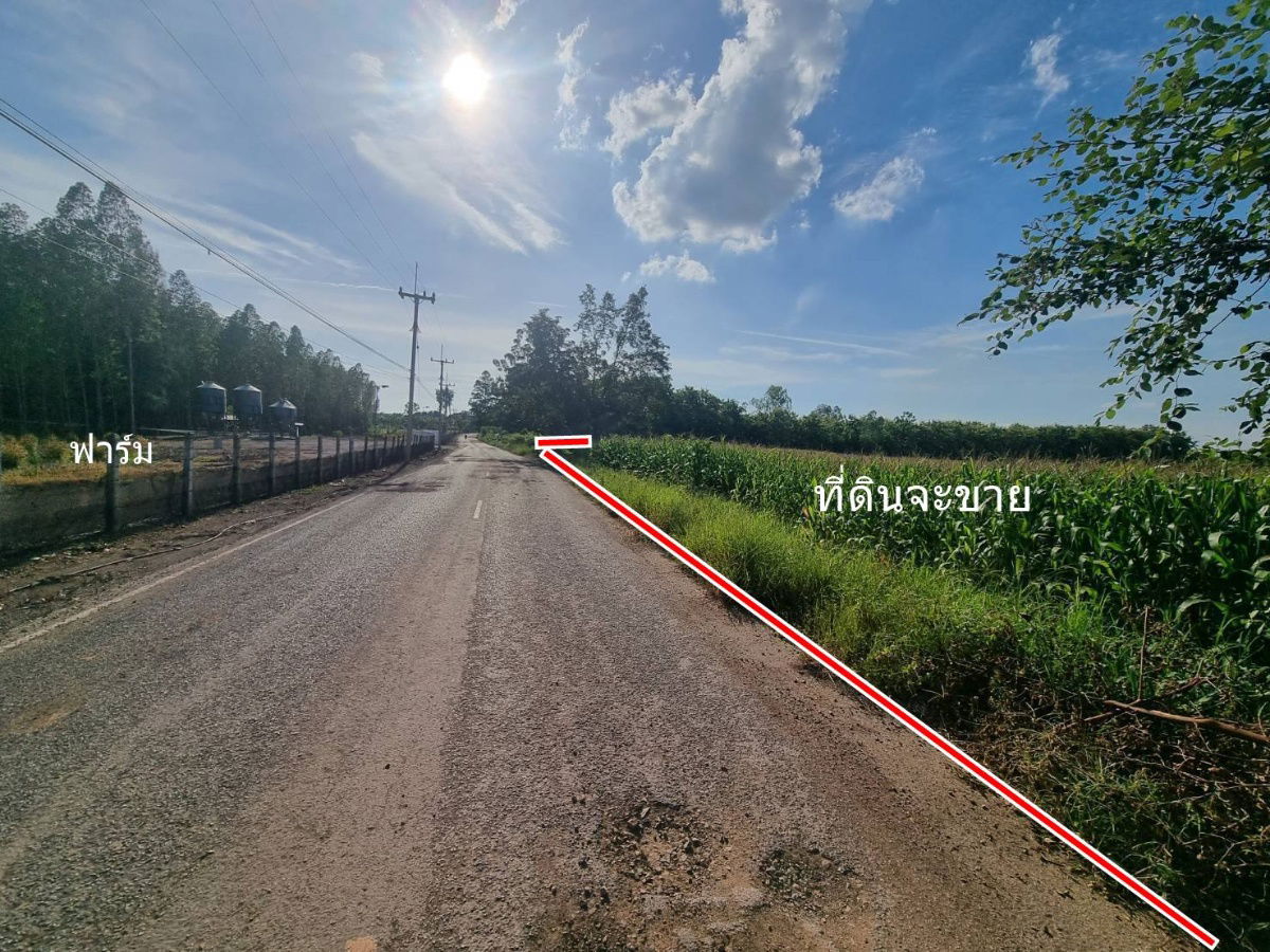 รูป ขายที่ดิน 20ไร่เศษ ต.ลาดแค ชนแดน ขายเหมายกแปลง1.9 ล้าน - รูปที่ 4/9