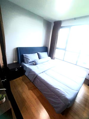 Condos for rent : Fully furnished studio condo in golden location