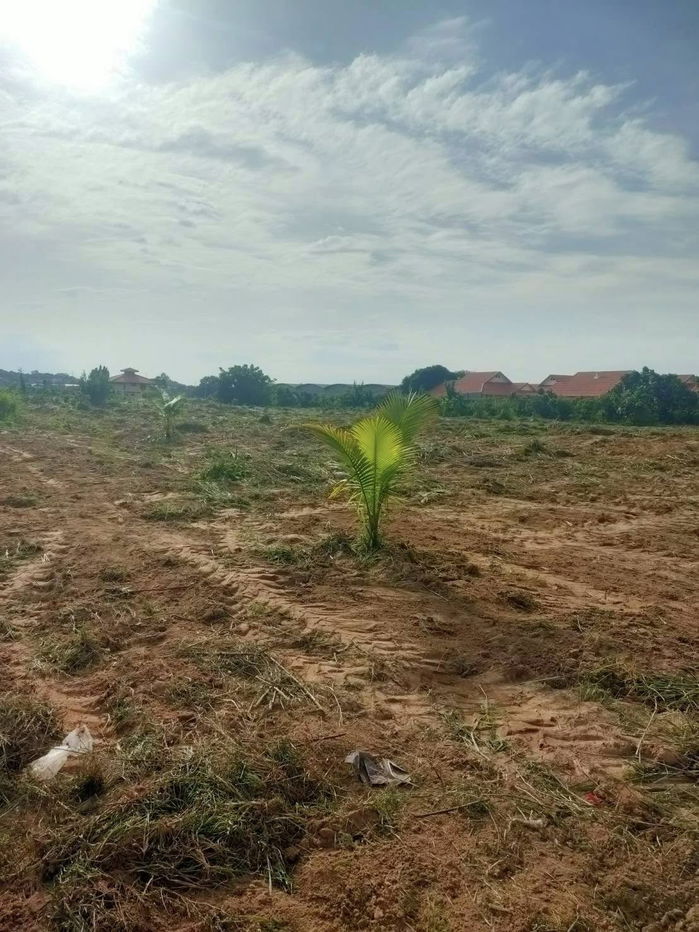 รูป ขายที่ดินในซอยตองกลม-ตันหมัน - รูปที่ 2/4