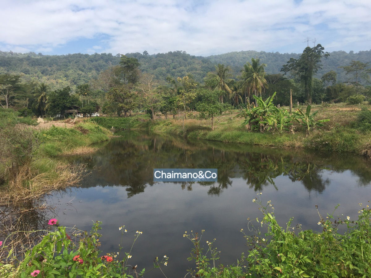 รูป ขายที่ดินสวย 30 ไร่ หน้าติดถนนสายหลัก 4 เลน (สาย1023) ราคา 9 ล้าน ทำเลรับอานิสงส์เมกะโปรเจกต์รถไฟรางคู่ เด่นชัย–เชียงราย–เชียงของ - รูปที่ 7/8