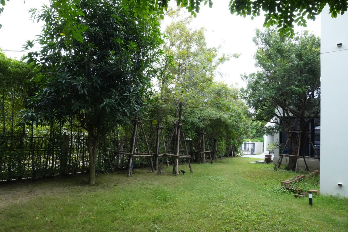 รูป ขายบ้านโครงการ Burasiri Rangsit : บุราสิริ รังสิต, ปทุมธานี - รูปที่ 5/11