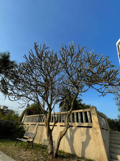 รูป คอนโด The Trust Condo หัวหิน ให้เช่า 15,000 บาทต่อเดือน 2 ห้องนอน 2 ห้องน้ำ เนื้อที่ 57.89 ตรม. - รูปที่ 24/25