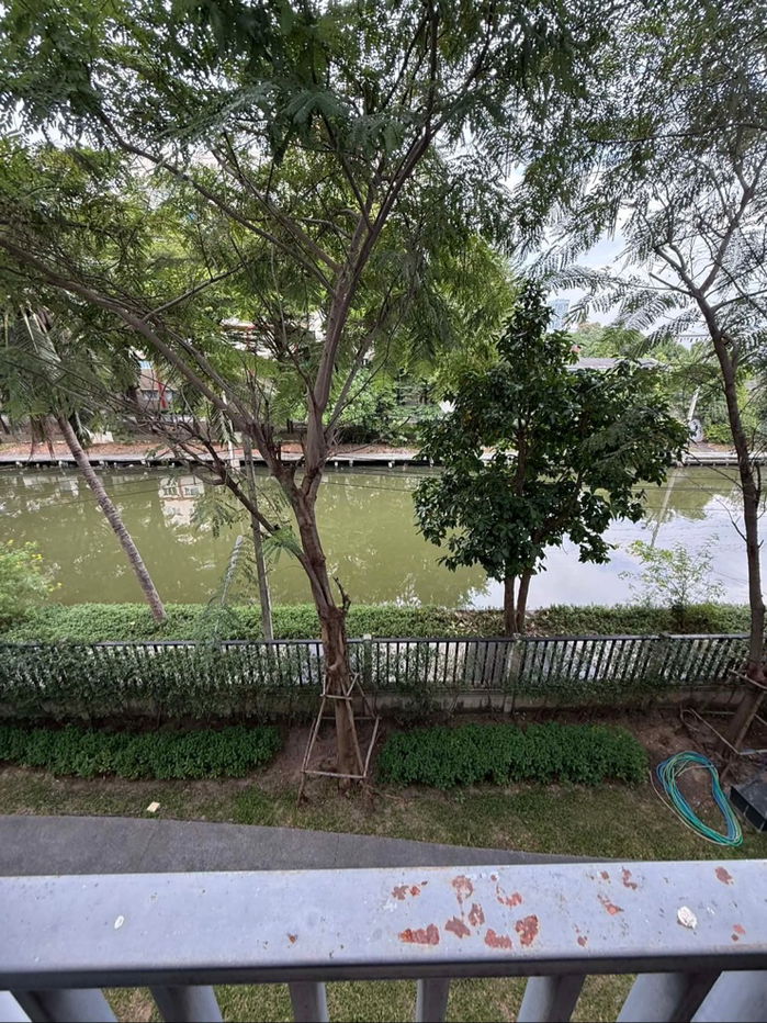 รูป ปล่อยเช่าคอนโด เดอะ นิช ไอดี บางแค #The Niche id Bangkhae #ใกล้MRTบางแค1km. - รูปที่ 14/14