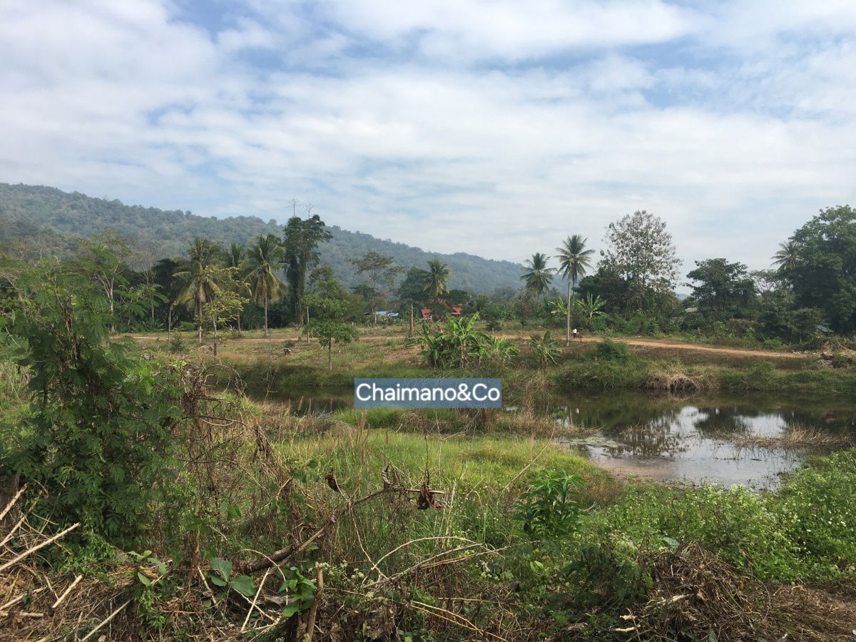 รูป ขายที่ดินสวย 30 ไร่ หน้าติดถนนสายหลัก 4 เลน (สาย1023) ราคา 9 ล้าน ทำเลรับอานิสงส์เมกะโปรเจกต์รถไฟรางคู่ เด่นชัย–เชียงราย–เชียงของ - รูปที่ 4/8