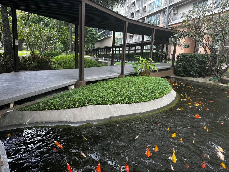 รูป 🟠ให้เช่าคอนโด - 2 ห้องนอน 60 ตร.ม. ที่ The Line Vibe - รูปที่ 12/20