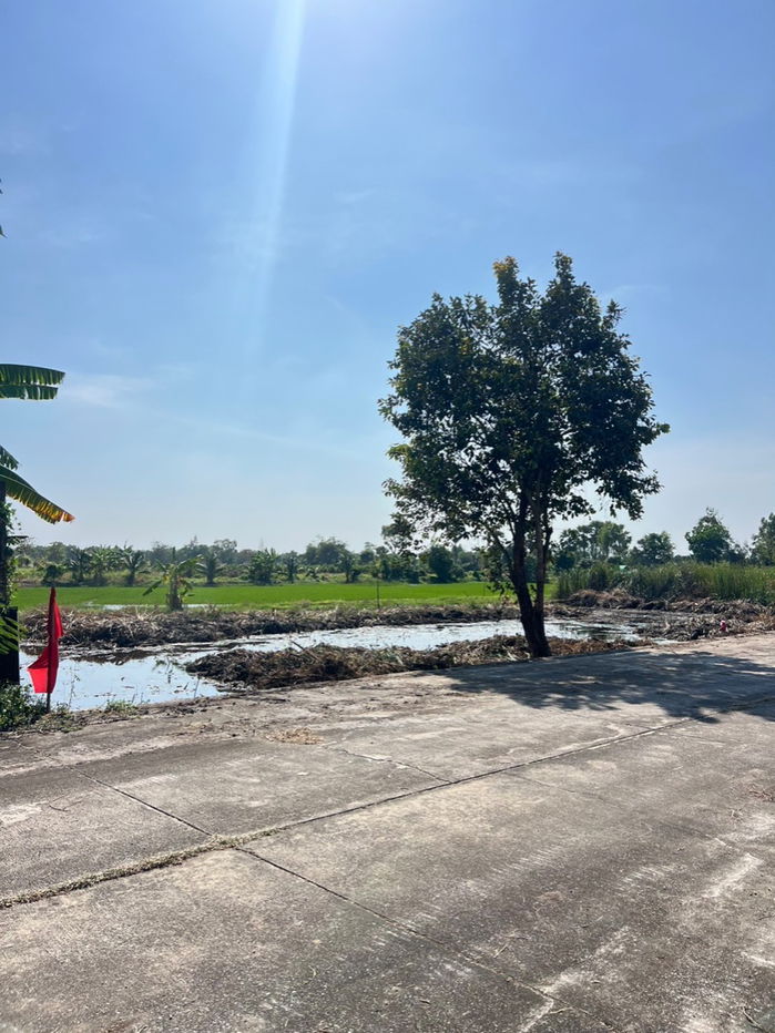 รูป ที่ดินคลอง 11 หนองเสือ ปทุมธานี แปลงเล็กราคาถูก 100 ตรว. เพียง 360,000 บาท - รูปที่ 6/10