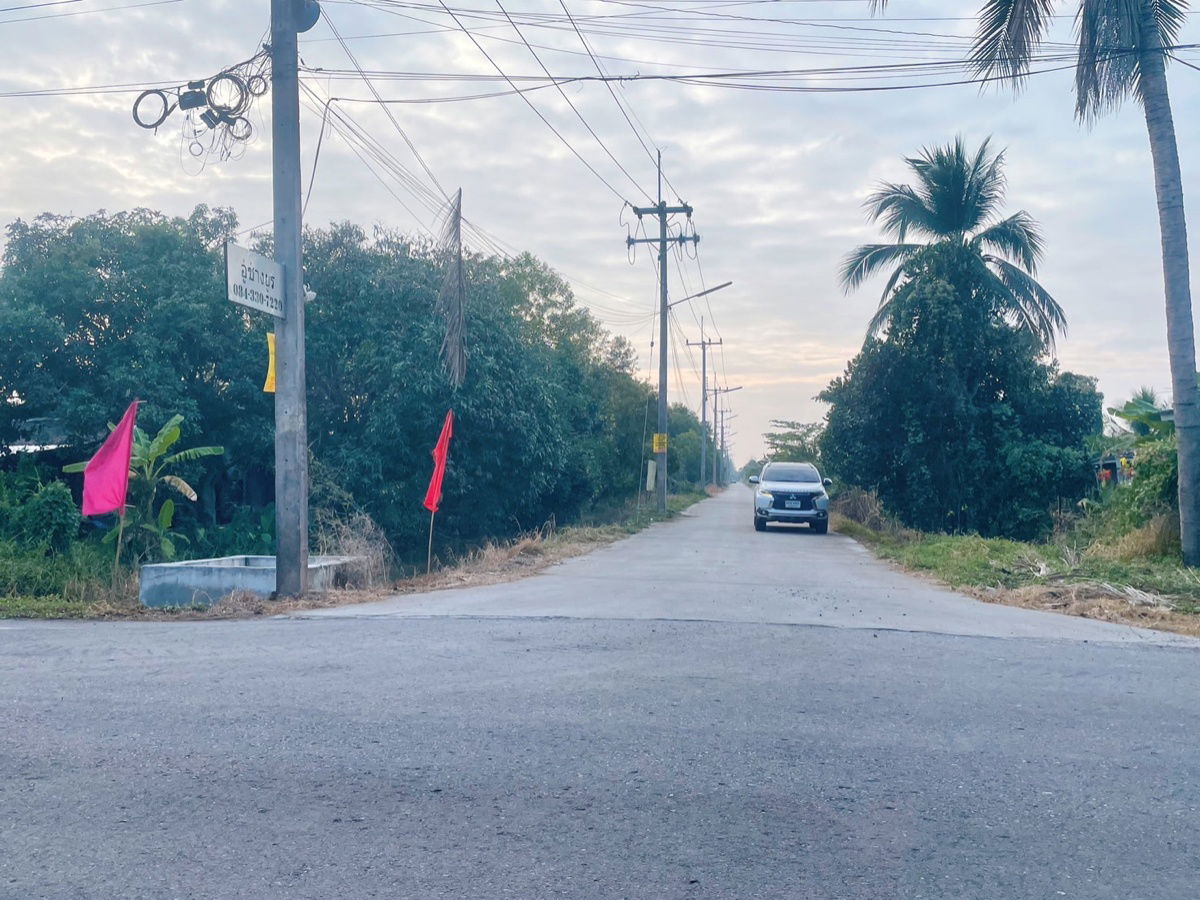 รูป ขายที่ดินติดคลอง คลอง 11 หนองเสือ ปทุมธานี – รูปแปลงสวย หน้าติดถนนสาธารณะ - รูปที่ 9/9