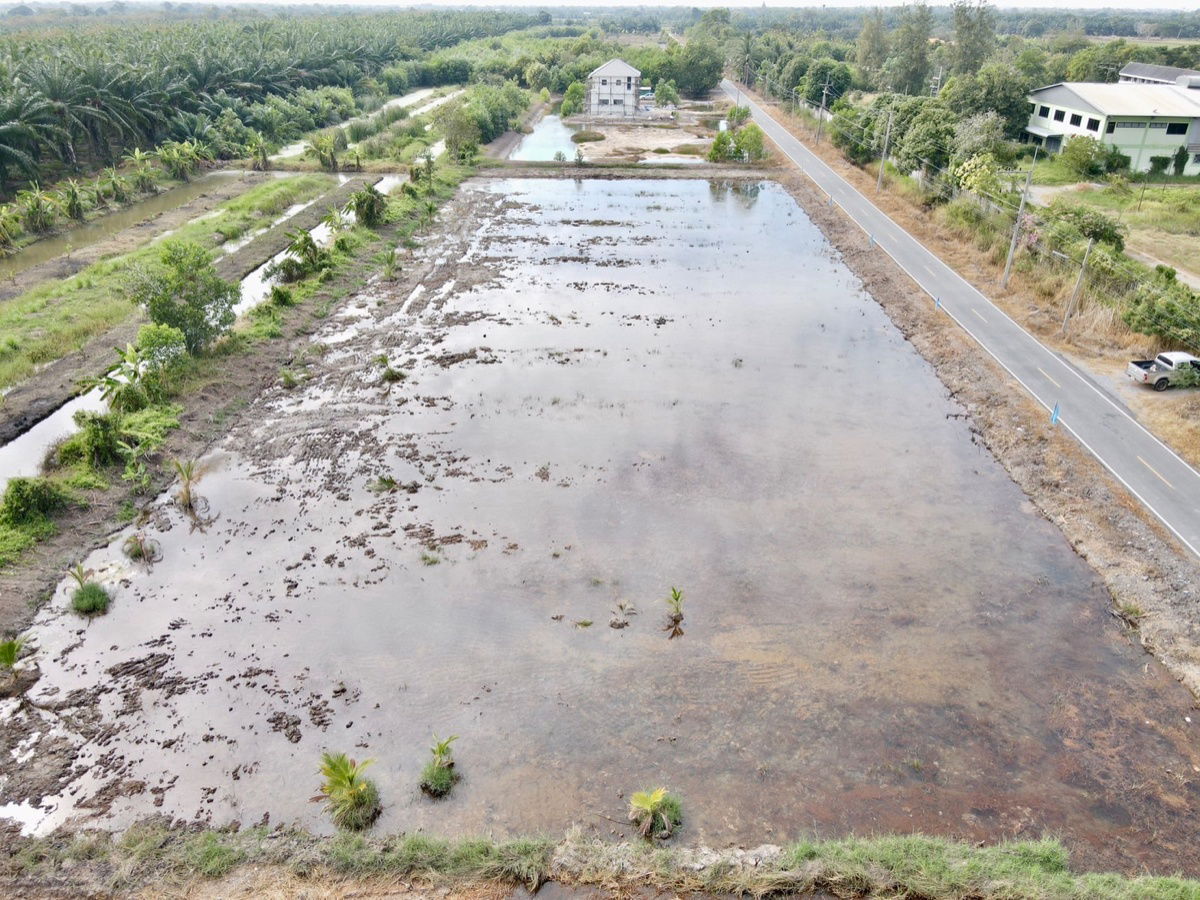 รูป ที่ดินคลอง 9 หนองเสือ ปทุมธานี 200 ตรว. ราคาถูก ทำเลอนาคต เหมาะปลูกบ้าน ทำโกดัง ฟรีค่าโอน - รูปที่ 8/10