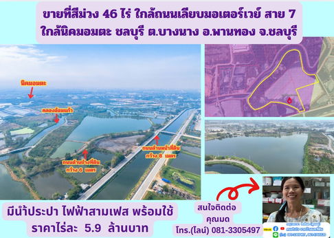 ขายที่สีม่วง 46 ไร่ ใกล้ถนนเลียบมอเตอร์เวย์ สาย 7 ใกล้นิคมอมตะ ชลบุรี ต.บางนาง อ.พานทอง จ.ชลบุรี