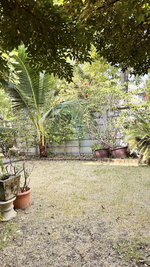 picture 📌 For Sell House IRIS PARK CHAIYAPRUK-WONGWAEN 2-story 3 bedroom 3 bathroom - 8/8