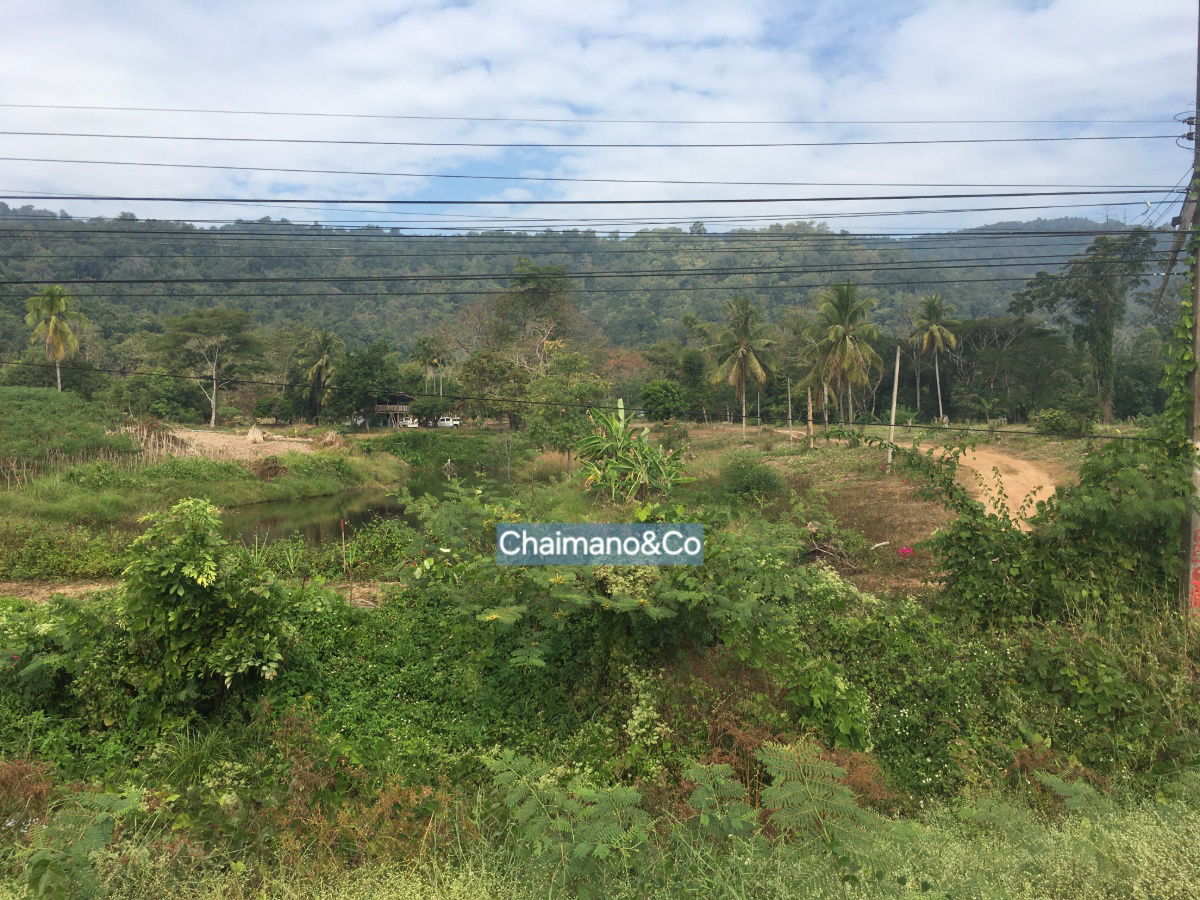 รูป ขายที่ดินสวย 30 ไร่ หน้าติดถนนสายหลัก 4 เลน (สาย1023) ราคา 9 ล้าน ทำเลรับอานิสงส์เมกะโปรเจกต์รถไฟรางคู่ เด่นชัย–เชียงราย–เชียงของ - รูปที่ 3/8