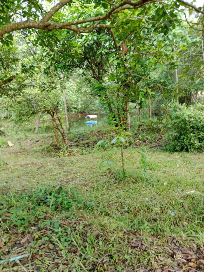 รูป ขายที่ดินบ้านสวน พร้อมอยู่ ทำเลสงบ ศักยภาพสูง - รูปที่ 9/10
