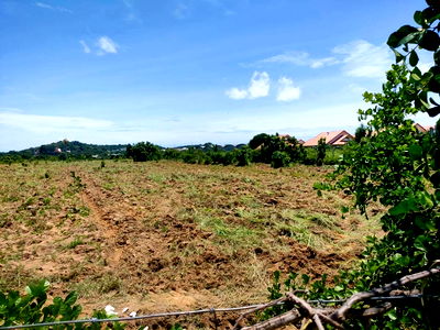 ที่ดิน ถนนทุ่งกลม-ตาหมัน : ขายที่ดินในซอยตองกลม-ตันหมัน