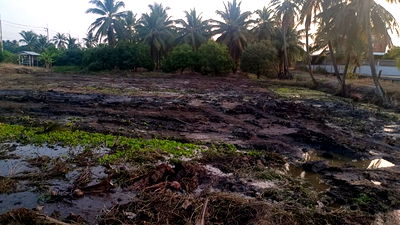 ที่ดิน สามพราน นครปฐม : ด่วน! ขายที่ดิน 1 ไร่ ใกล้ อบต. วัดวังน้ำขาว โฉนดพร้อมโอน เพียง 4.5 ล้านบาท