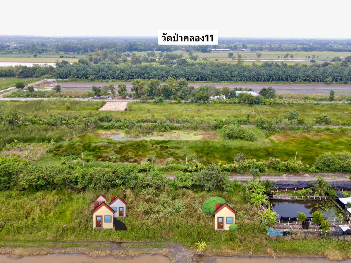 รูป ที่ดินคลอง 11 หนองเสือ ปทุมธานี แปลงเล็กราคาถูก 100 ตรว. เพียง 360,000 บาท - รูปที่ 3/10