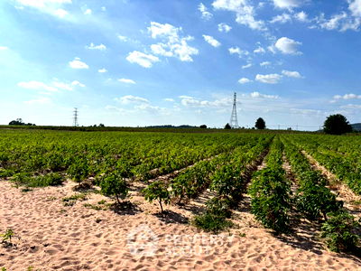 ที่ดิน นิคมราชชลบุรี : ที่ดินสำหรับปล่อยขาย 227,200 ตารางเมตร แถว ใกล้ บ่อวิน (ID 2471224)