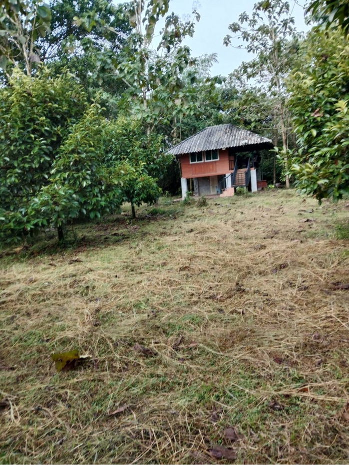 รูป ขายที่ดินบ้านสวน พร้อมอยู่ ทำเลสงบ ศักยภาพสูง - รูปที่ 8/10