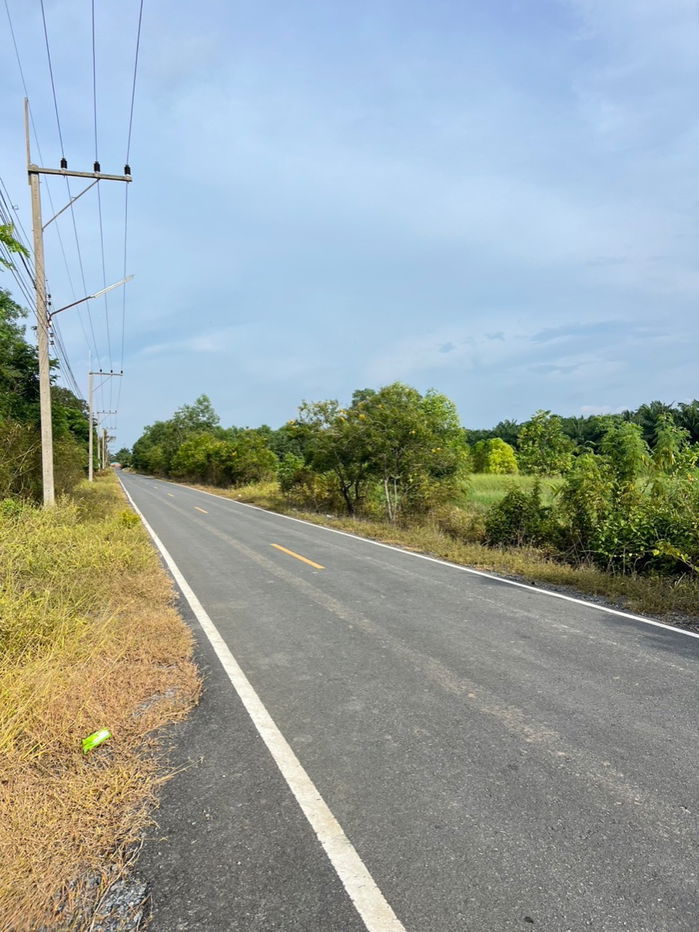 รูป ที่ดินคลอง 9 หนองเสือ ปทุมธานี 200 ตรว. ราคาถูก ทำเลอนาคต เหมาะปลูกบ้าน ทำโกดัง ฟรีค่าโอน - รูปที่ 6/10
