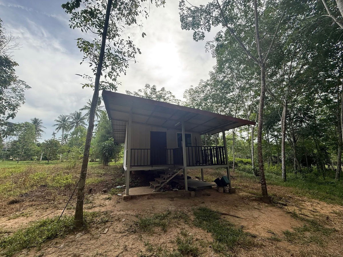 รูป ขายสวนยาง 17.5 ไร่ ต.คลองกวาง อ.นาทวี จ.สงขลา - รูปที่ 4/7