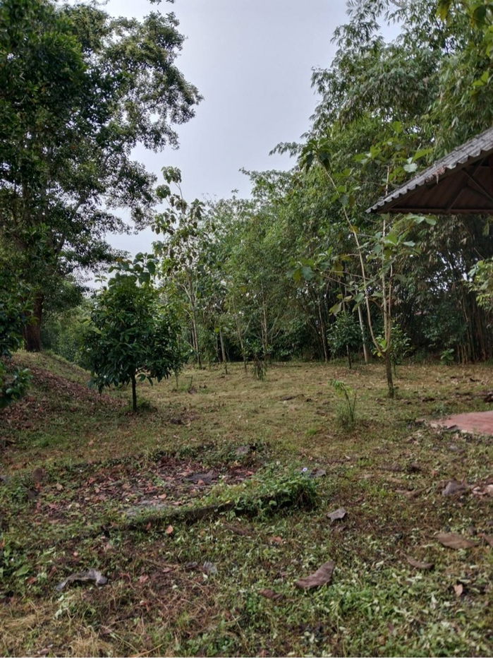 รูป ขายที่ดินบ้านสวน พร้อมอยู่ ทำเลสงบ ศักยภาพสูง - รูปที่ 10/10
